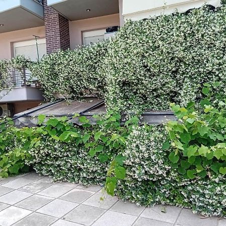 Stella'S Jasmine Lägenhet Thessaloníki Exteriör bild