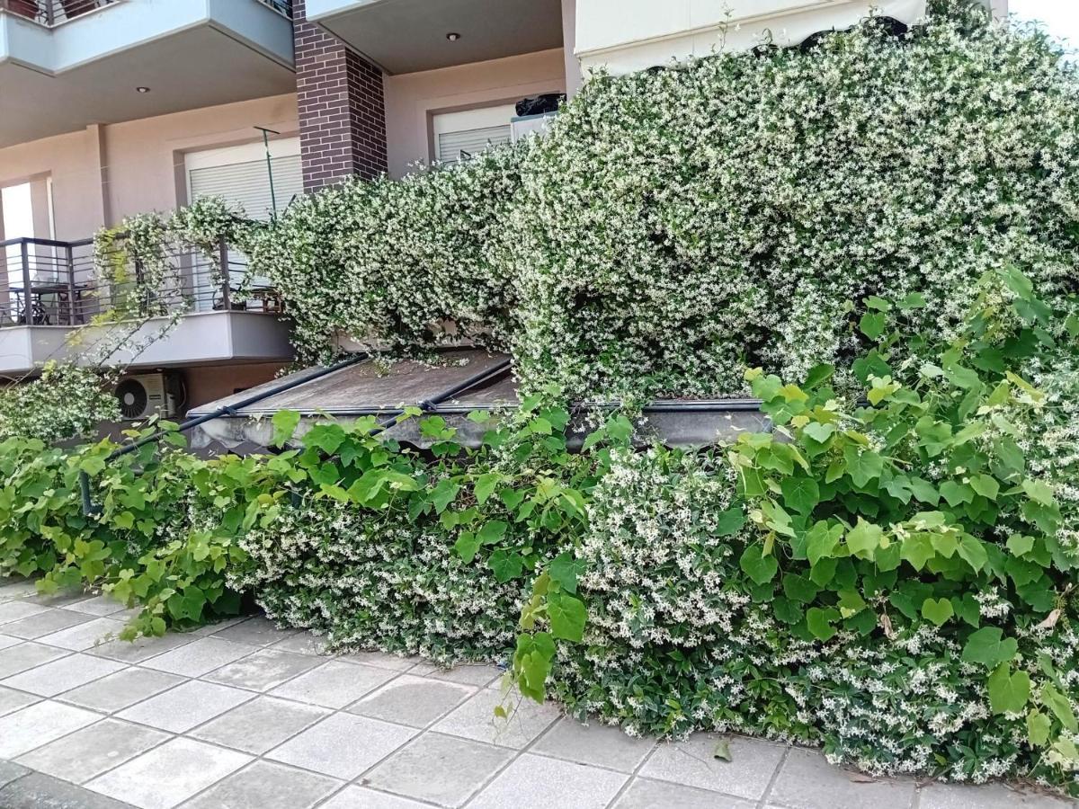 Stella'S Jasmine Lägenhet Thessaloníki Exteriör bild